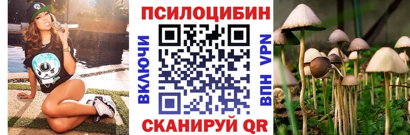 Псилоцибиновые грибы мицелий  сколько стоит  Карабаново 